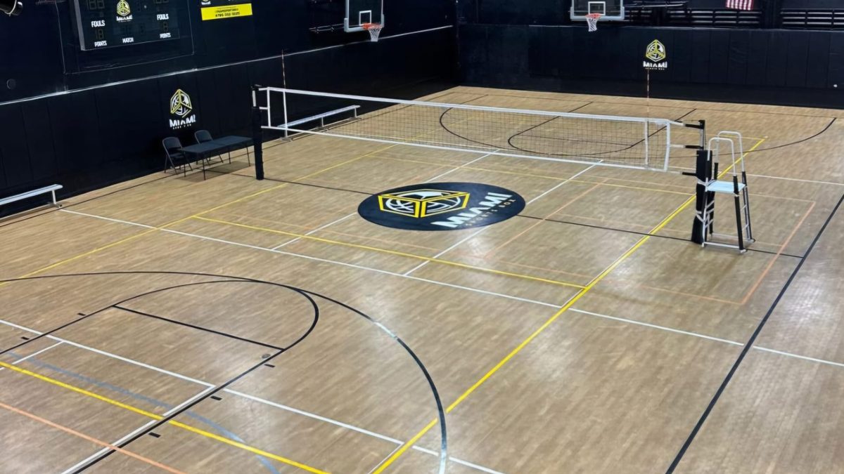 Official Volleyball court